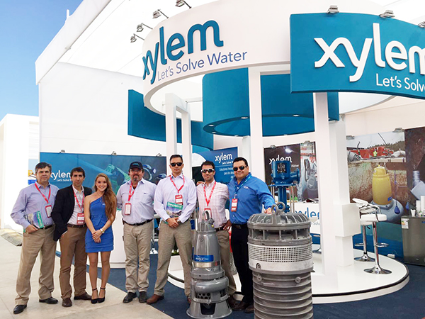 Xylem