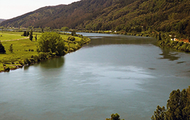 Aprueban norma para proteger la calidad de las aguas de la cuenca del río Valdivia 