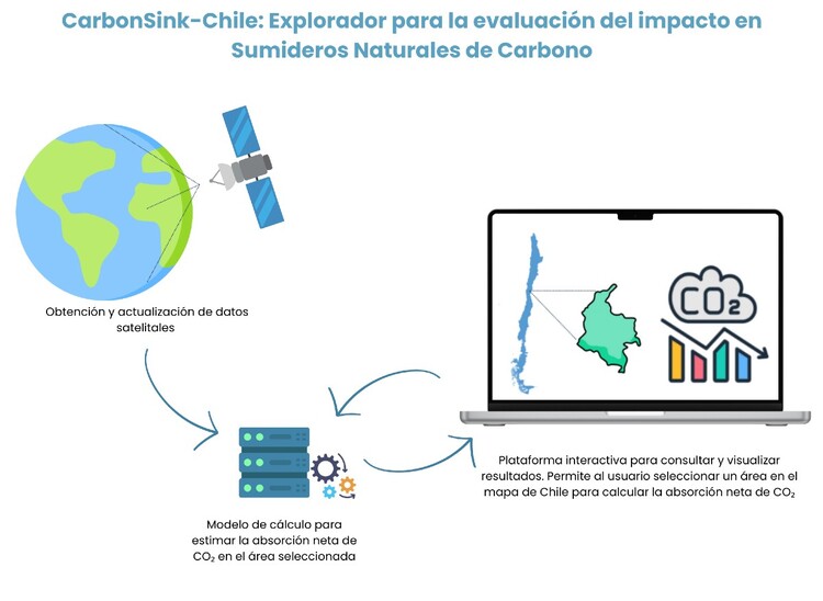 Lanzan plataforma que permitirá estimar carbono almacenado en ecosistemas naturales