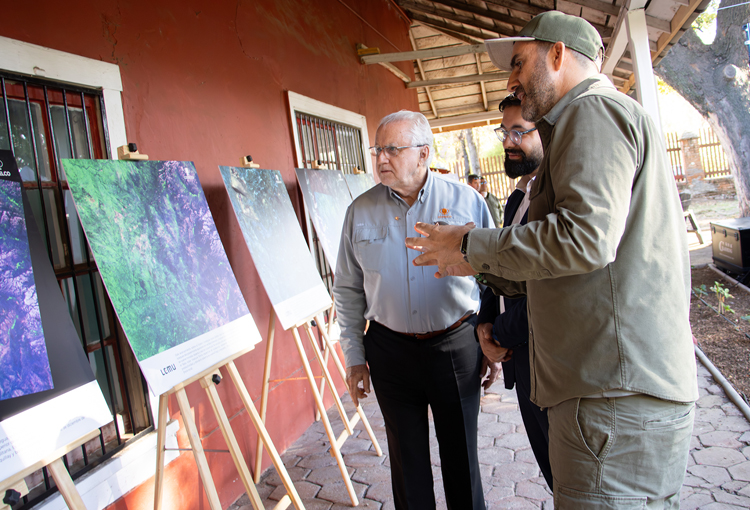 Codelco incorpora tecnología satelital e inteligencia artificial para proteger la biodiversidad