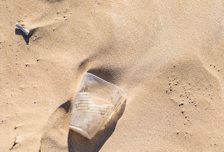 Contaminación en las playas: colillas y plásticos de un solo uso son los principales residuos