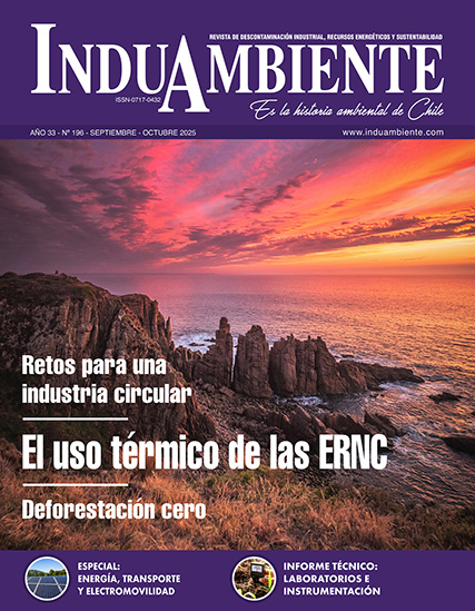 REVISTA N° 196