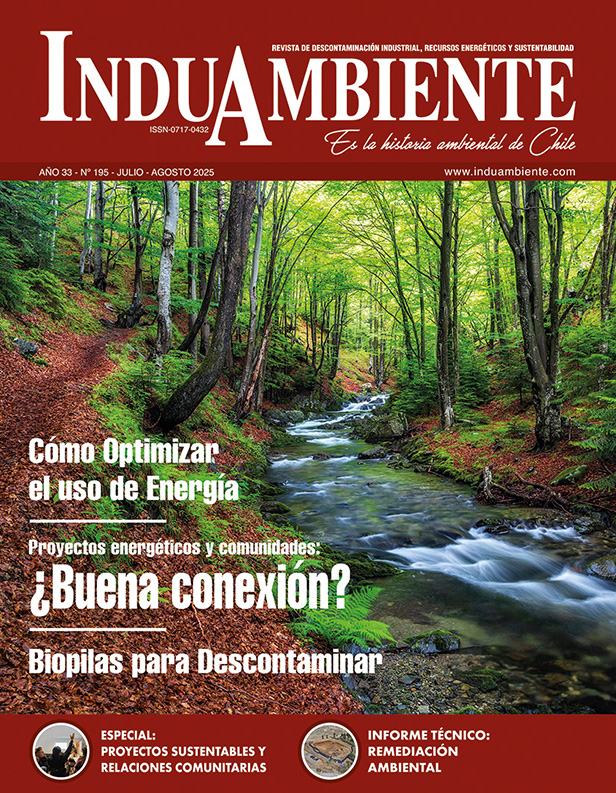 REVISTA N° 195
