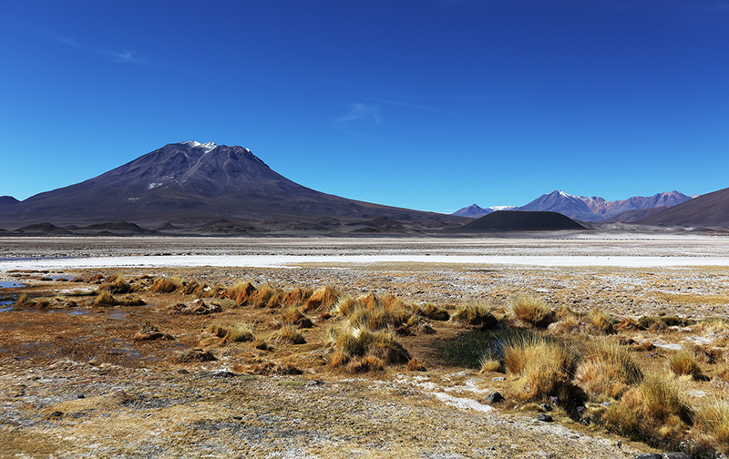 Conservación con Identidad Indígena