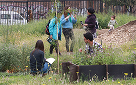 Adaptación al cambio climático: estudio da claves para desarrollar jardines sostenibles en la RM