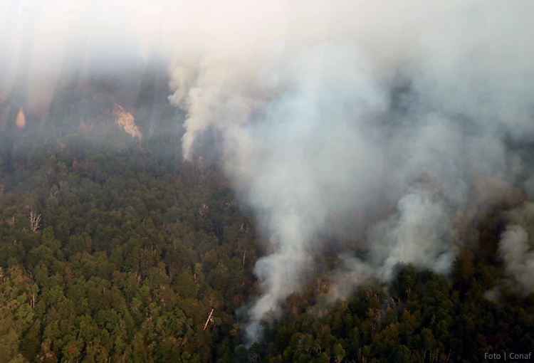 Incendios forestales: alerta roja en 6 comunas y aviso preventivo desde Valparaíso a Los Lagos