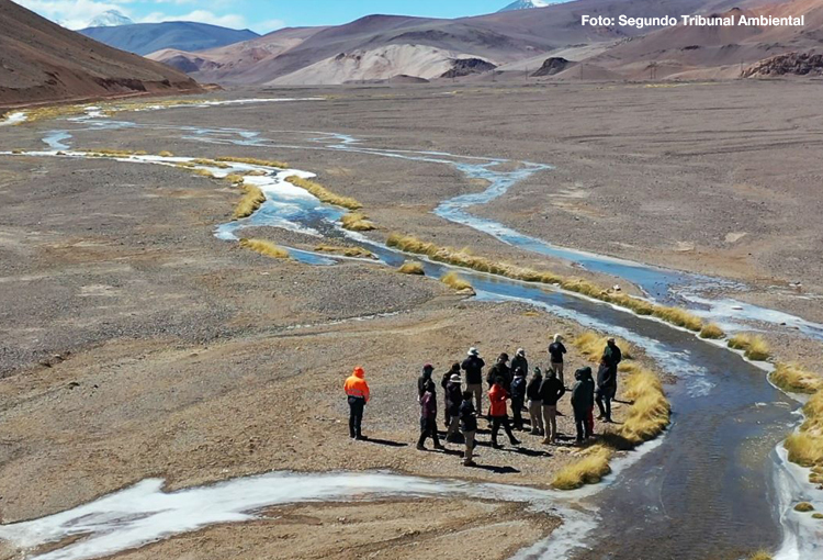 Tribunal aprobó acuerdo que considera casi US$ 20 millones para reparar humedales altoandinos en Atacama