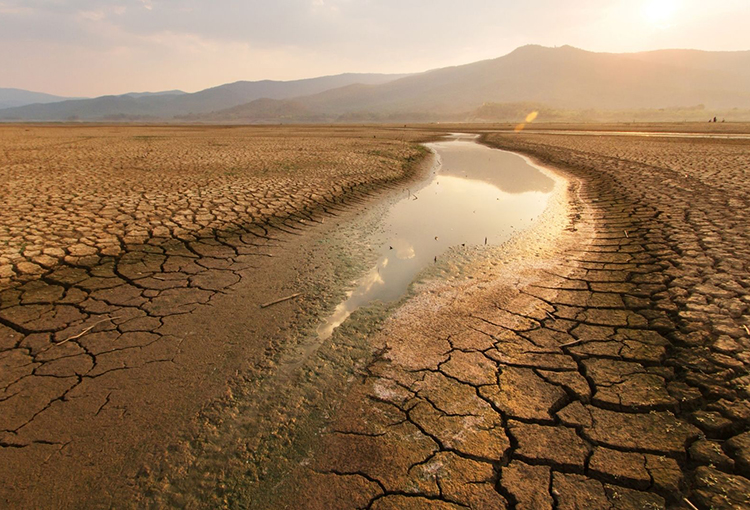 De cara a la COP 27, ONU llama a poner la adaptación al cambio climático como prioridad mundial