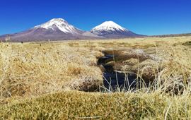 MMA extenderá por todo noviembre consulta pública para definición de sitios prioritarios