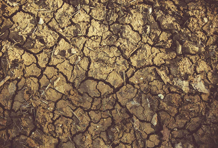 Investigación revela los diversos impactos de la hipersequía en Chile