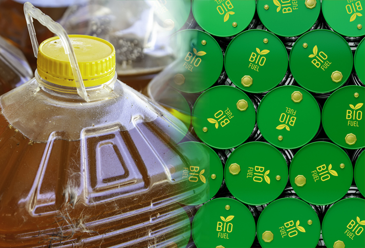 Campaña busca duplicar la cantidad de aceite de cocina usado que se recicla en Chile