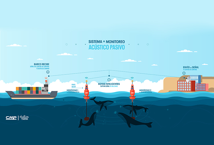 Con boyas inteligentes monitorearán fauna marina y ruido submarino en La Higuera 