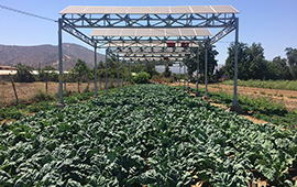 Publican manual de sistemas agrivoltaicos para afrontar déficit hídrico en sector agroalimentario