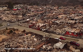 Incendios: avanza proyecto que regula la prevención y escala polémica por acumulación de residuos forestales