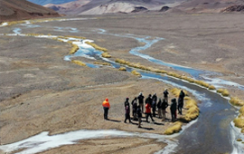 Tribunal aprobó acuerdo que considera casi US$ 20 millones para reparar humedales altoandinos en Atacama
