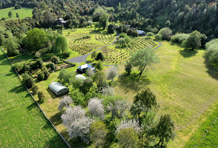 Proyecto entrega recomendaciones para cultivar sin pesticidas en la Patagonia