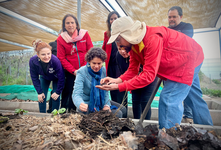 Proyecto de ley para fomentar el reciclaje de residuos vegetales inicia trámite en el Congreso