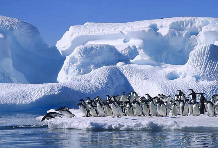 Protocolo al Tratado Antártico: a ley nuevo anexo sobre protección del medio ambiente