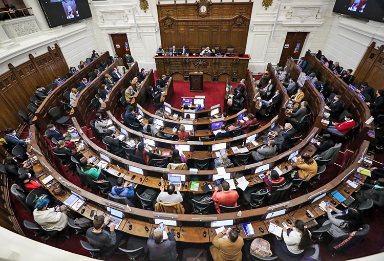 Convención Constitucional se declara en Estado de Emergencia Climática y Ecológica