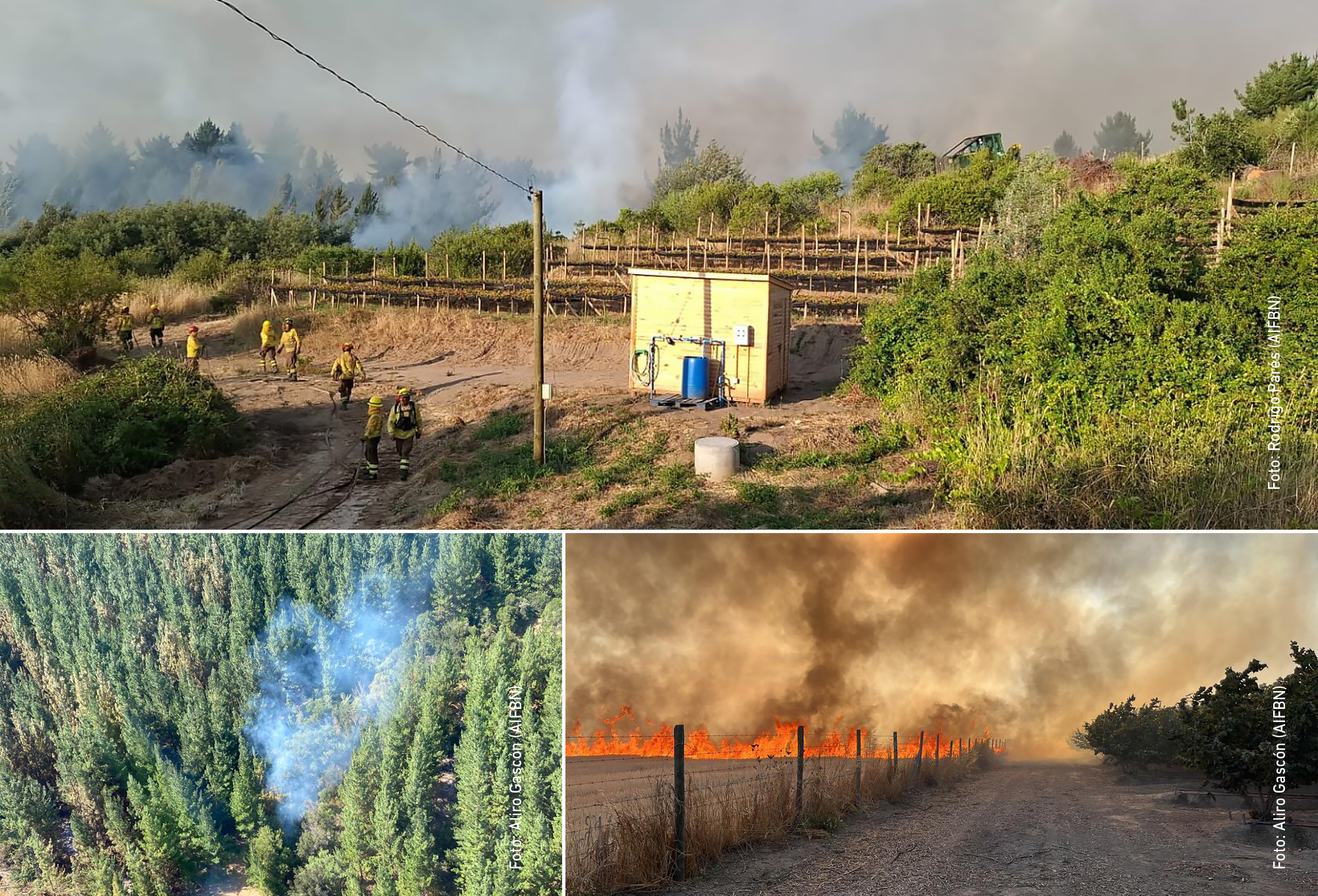 La Ley contra los Incendios