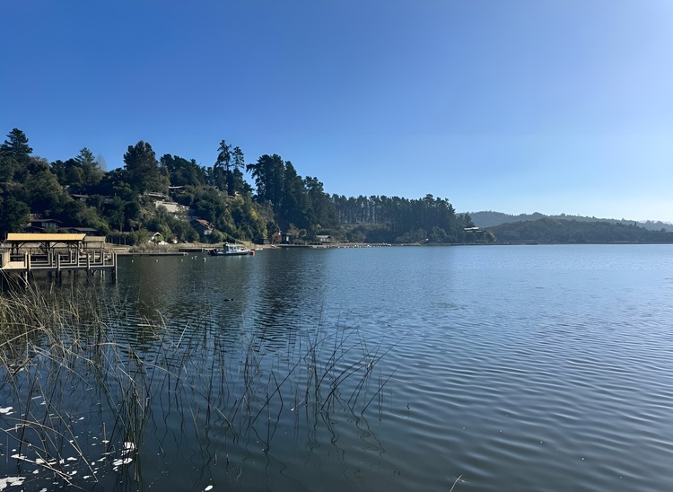 Inician proceso normativo para avanzar en la descontaminación del Lago Vichuquén