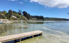 Fiscalía abre investigación de oficio por presunta contaminación en Lago Vichuquén