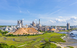 Norma de olores con más exigencias para plantas de celulosa fue publicada en el Diario Oficial