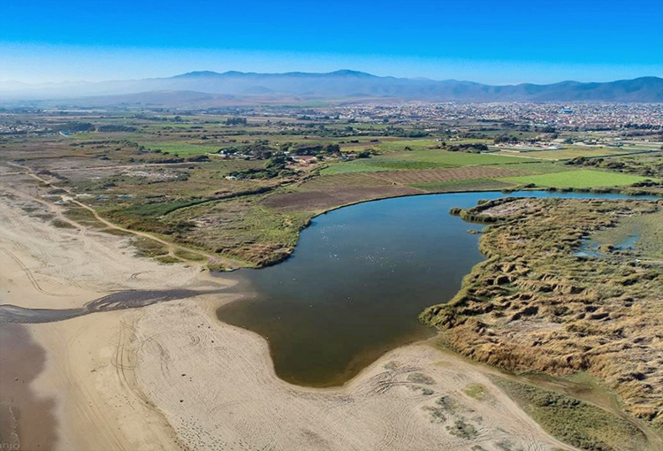 Reconocen al Río Elqui como primer humedal urbano de la Región de Coquimbo