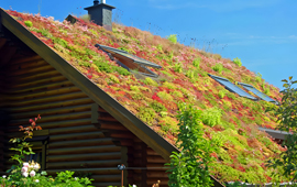 Aprueban Estrategia de Ciudades Verdes que promoverá la sostenibilidad y resiliencia en zonas urbanas