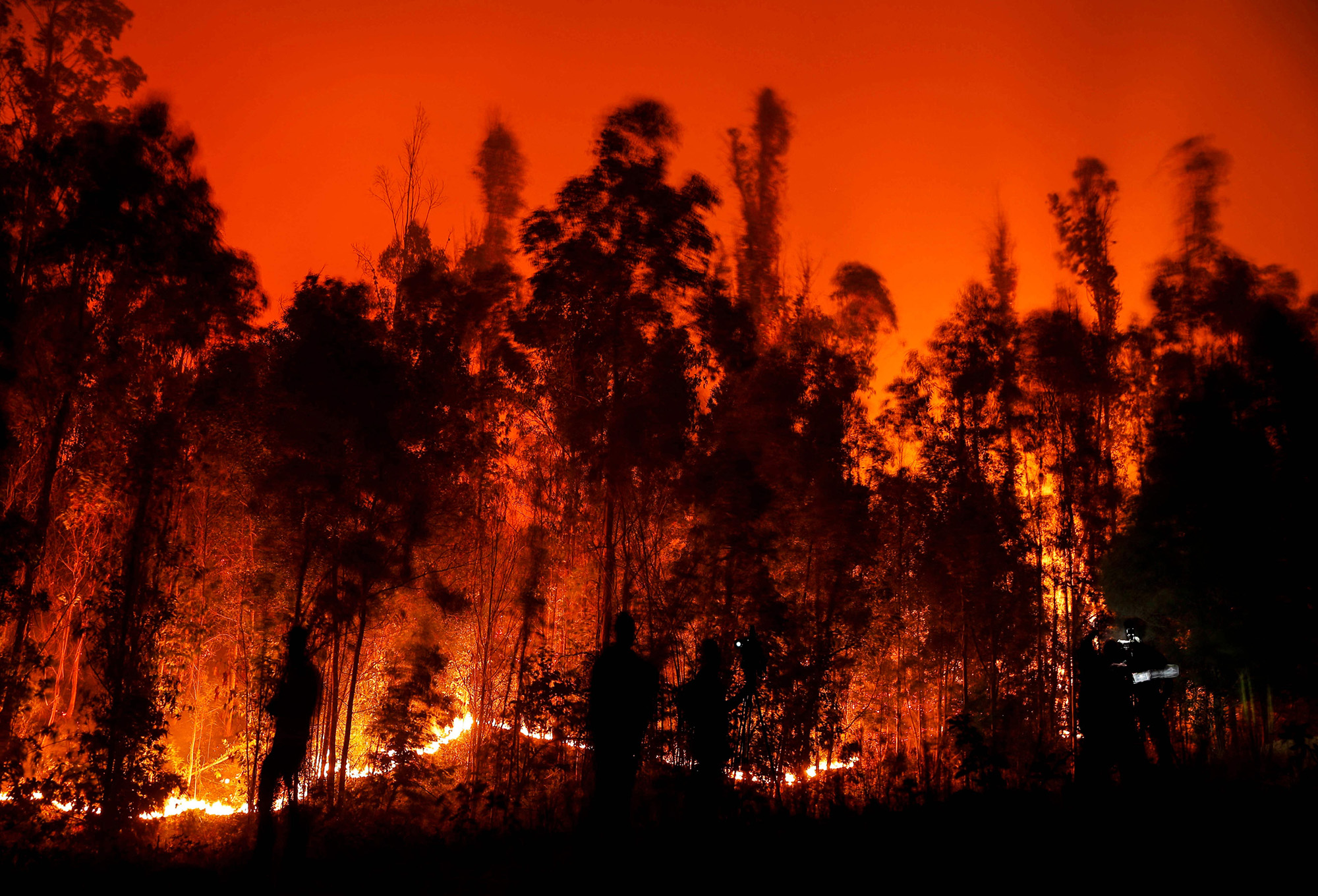 Megaincendios bajo la Lupa