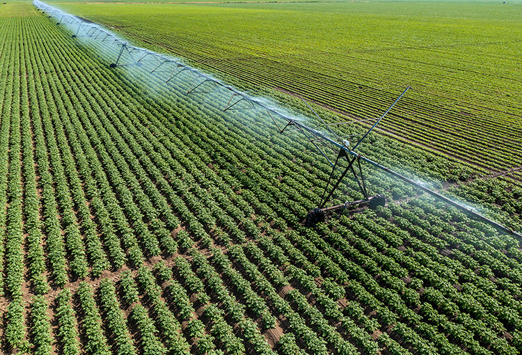 Congreso despacha a ley proyecto que permite el riego agrícola con aguas grises
