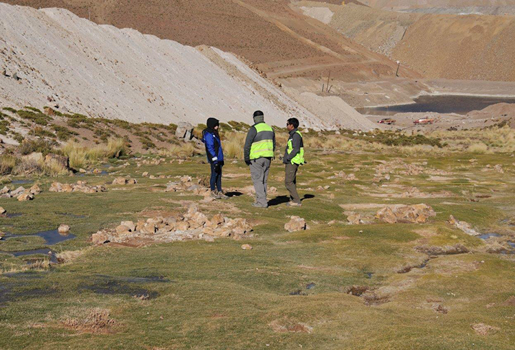 Formulan ocho cargos a minera Teck Quebrada Blanca por incumplimientos a sus RCA