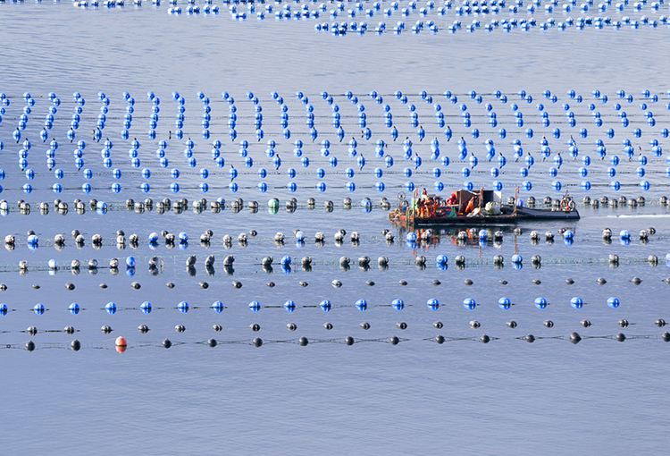 Combinación Ventajosa