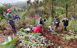 Invitan a sumar iniciativas de restauración ecológica y productiva en nuevo registro nacional