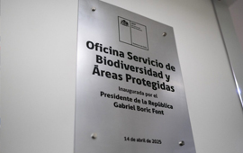 Aprueban reglamento que crea el Sistema de Certificación de Biodiversidad y Servicios Ecosistémicos