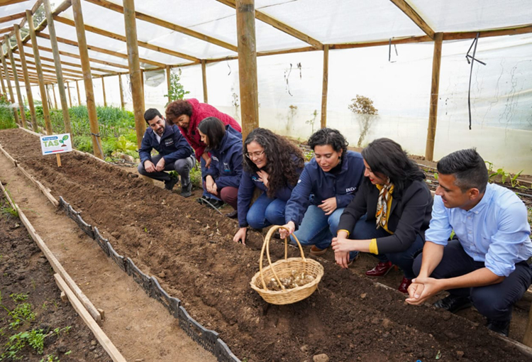 Mil productores participarán en nuevo programa para la transición a la agricultura sostenible