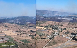 Incendios forestales: cinco comunas están con alerta roja entre Valparaíso y el Biobío