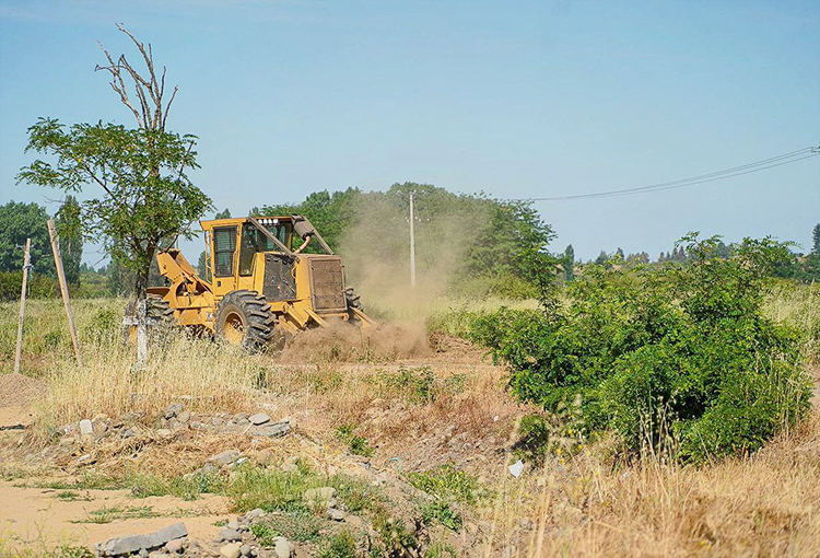 Ñuble contará con 320 kilómetros de cortafuegos para protección ante incendios forestales