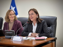 Institucionalidad ambiental: piden renuncia a Marie Claude Plumer (SMA) y Aarón Cavieres (SBAP)