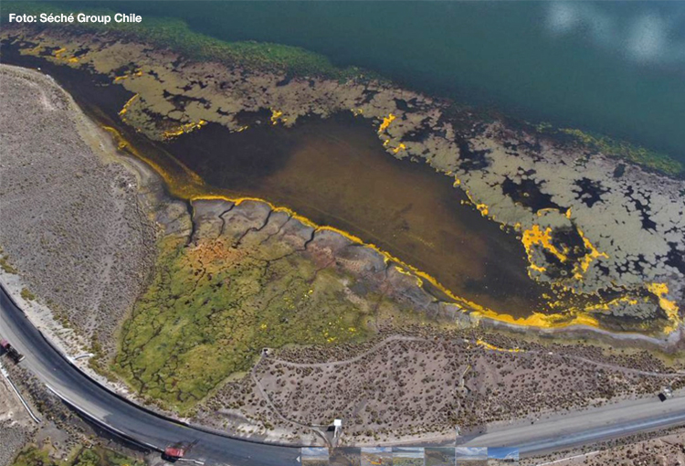 Avanza control de emergencia ambiental por derrame de aceite de soya en sector del lago Chungará