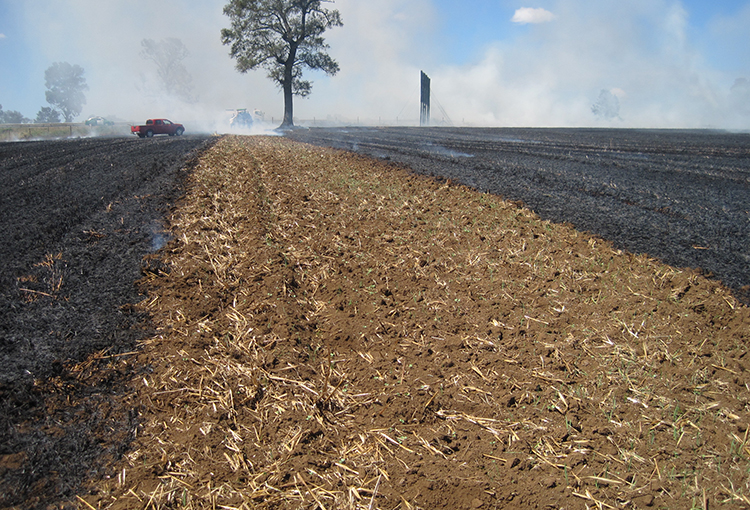 CONAF restringe las quemas agrícolas en seis regiones por riesgo de incendios forestales