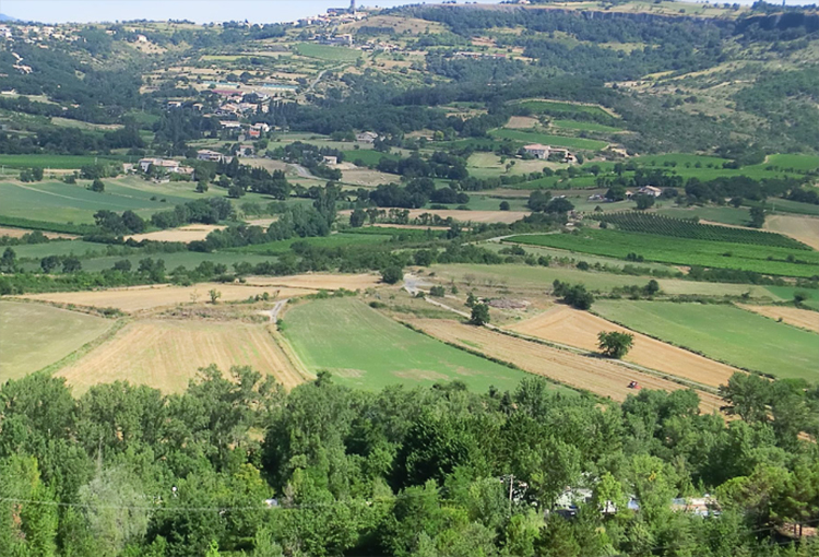 Estudiarán cómo la vegetación de la zona central se está adaptando al cambio climático