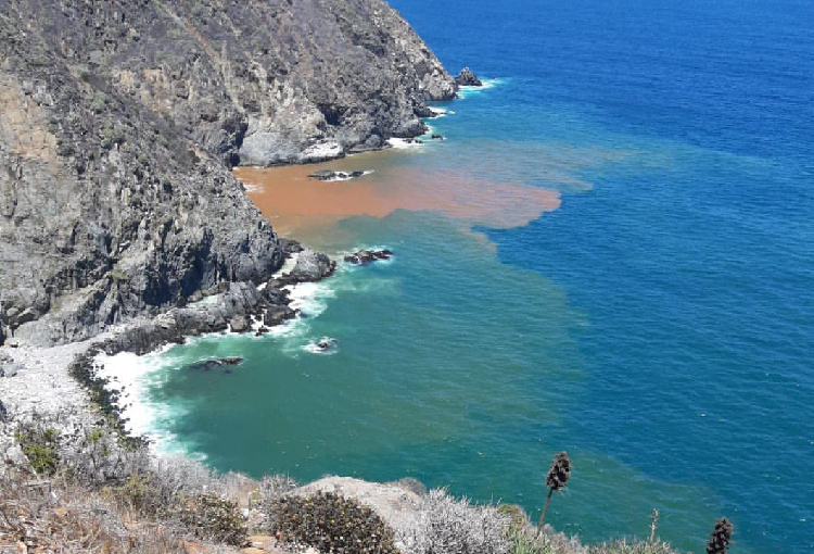 Vecinos de Playa Ancha denuncian olores fecales y acusan a Esval de tirar residuos al mar
