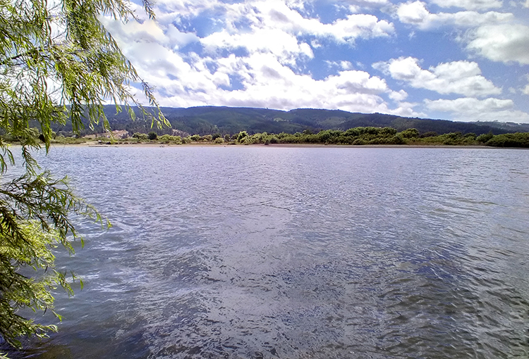 Resguardo del medio ambiente y derecho al agua son prioridades para los constituyentes