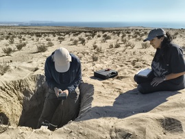 Crean colecciones de microorganismos para abordar desafíos de contaminación y minería verde