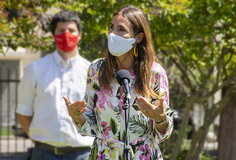 Renuncia ministra del Medio Ambiente Carolina Schmidt y es reemplazada por Javier Naranjo