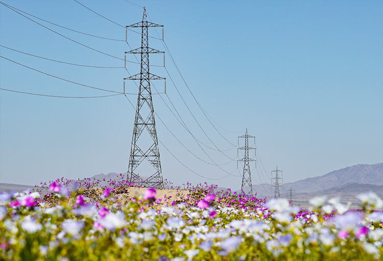 Presentan plan de medidas para un sistema eléctrico más seguro y resiliente