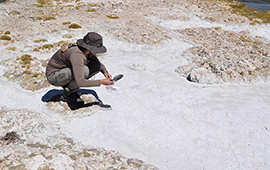 Descubren microorganismos en el desierto de Atacama que proliferan en condiciones extremas