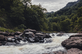 Crean material sustentable para la detección de contaminantes emergentes en aguas residuales