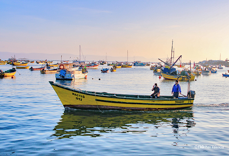 Reconocen a caleta por implementar prácticas de adaptación al cambio climático